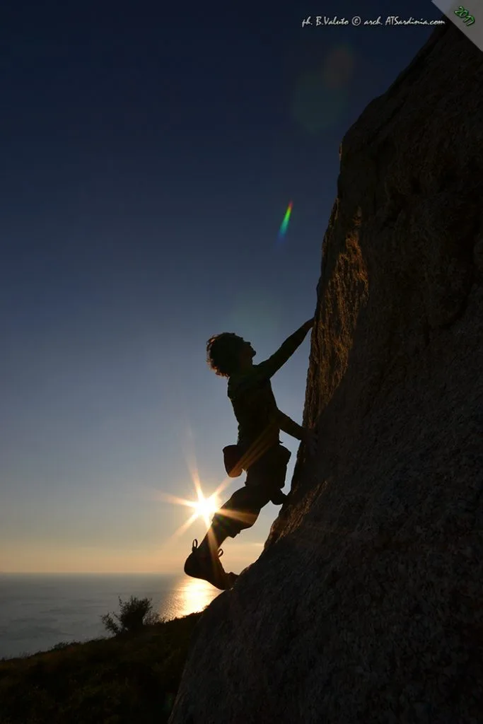 Silhouette