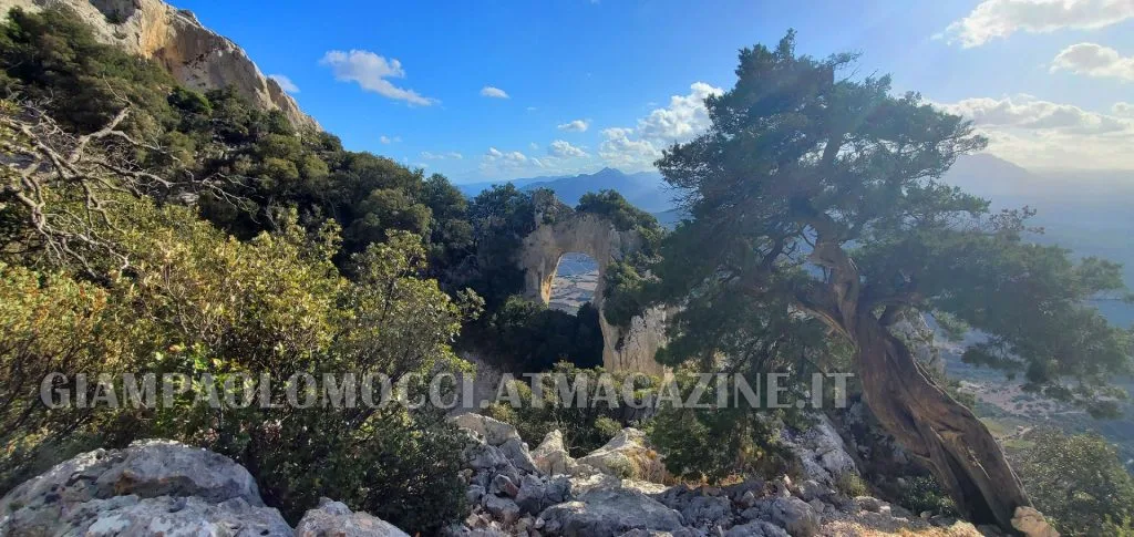 Sector BARRALE, Monte Tuttavista